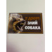 Табличка / У дворі злий собака (вівчарка)